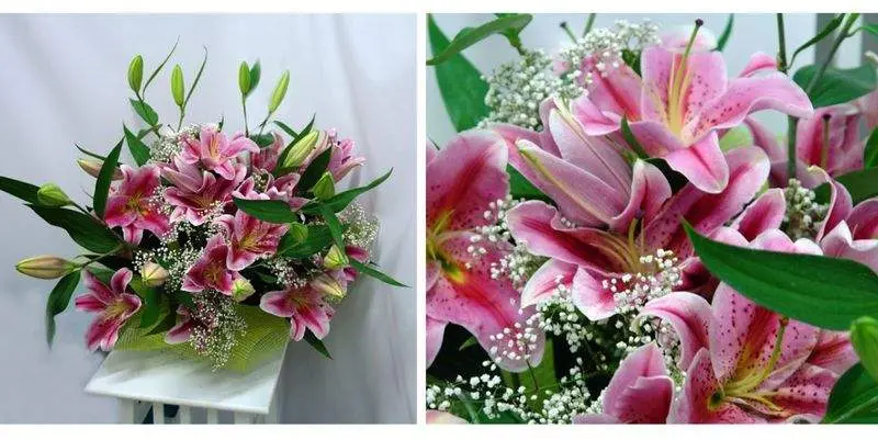 Букет Искарм