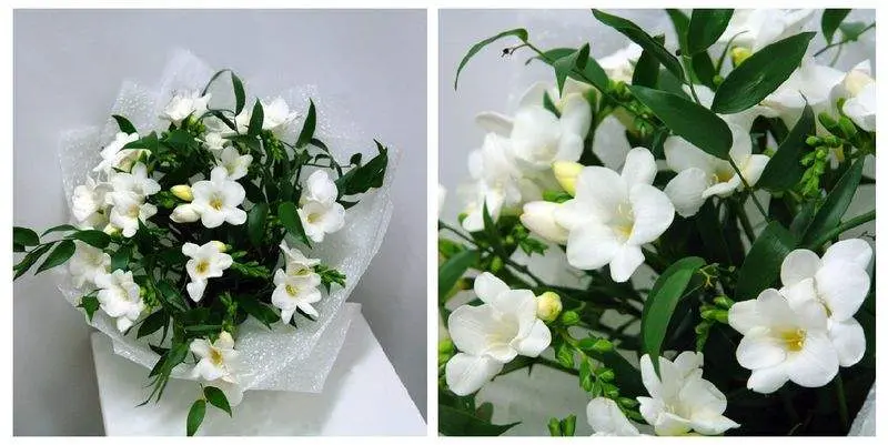 Зимний Поцелуй