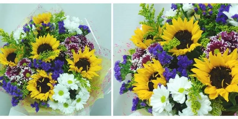 Прекрасная встреча