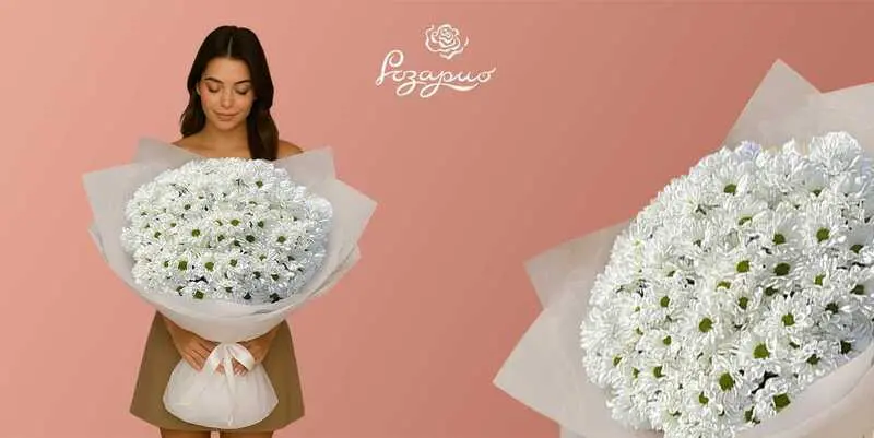 Огромный букет из ромашек, фронтальный вид в руках у девушки